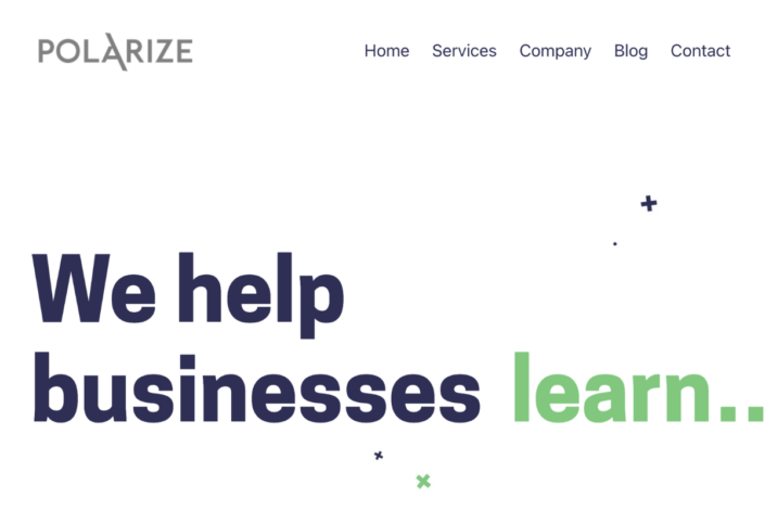 Polarize Digital Agency 